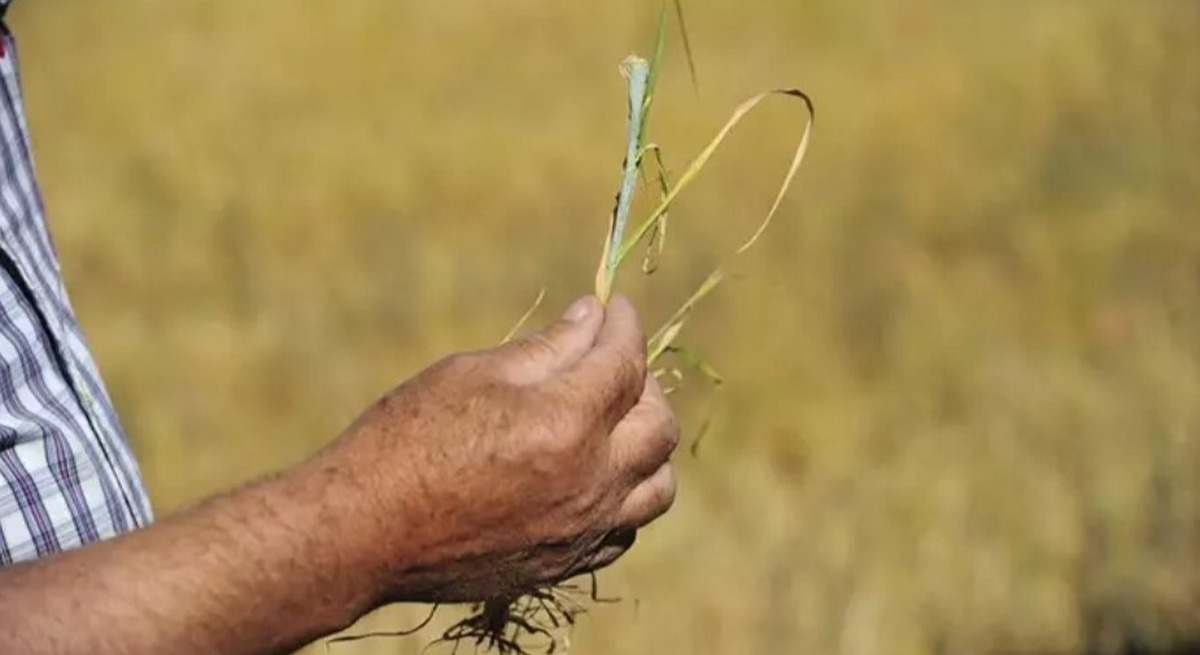 Bruselas alerta: Campo español no preparado para cambio climático